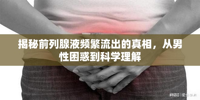 揭秘前列腺液頻繁流出的真相，從男性困惑到科學(xué)理解
