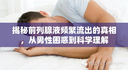 揭秘前列腺液頻繁流出的真相，從男性困惑到科學(xué)理解