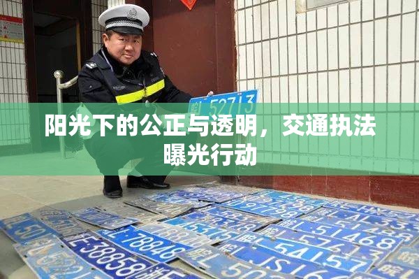 陽光下的公正與透明，交通執(zhí)法曝光行動(dòng)