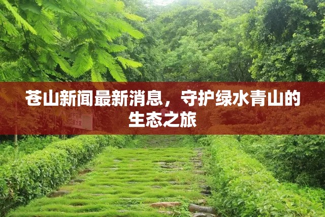 蒼山新聞最新消息，守護綠水青山的生態(tài)之旅