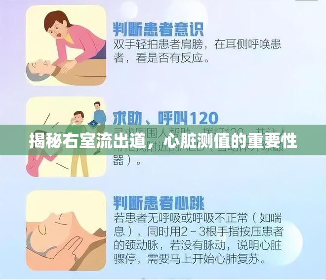 揭秘右室流出道，心臟測值的重要性