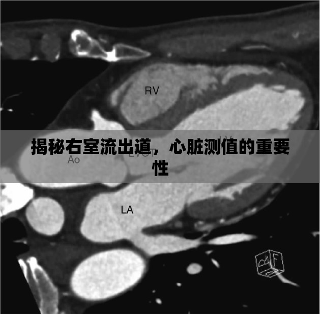 揭秘右室流出道，心臟測值的重要性