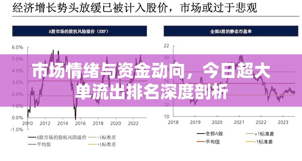 市場(chǎng)情緒與資金動(dòng)向，今日超大單流出排名深度剖析