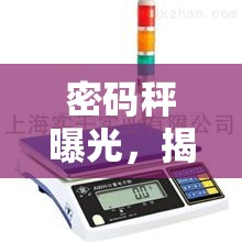 密碼秤曝光，揭秘精準(zhǔn)計(jì)量的技術(shù)奧秘