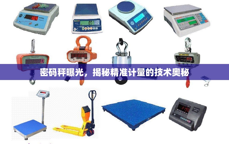 密碼秤曝光，揭秘精準(zhǔn)計(jì)量的技術(shù)奧秘