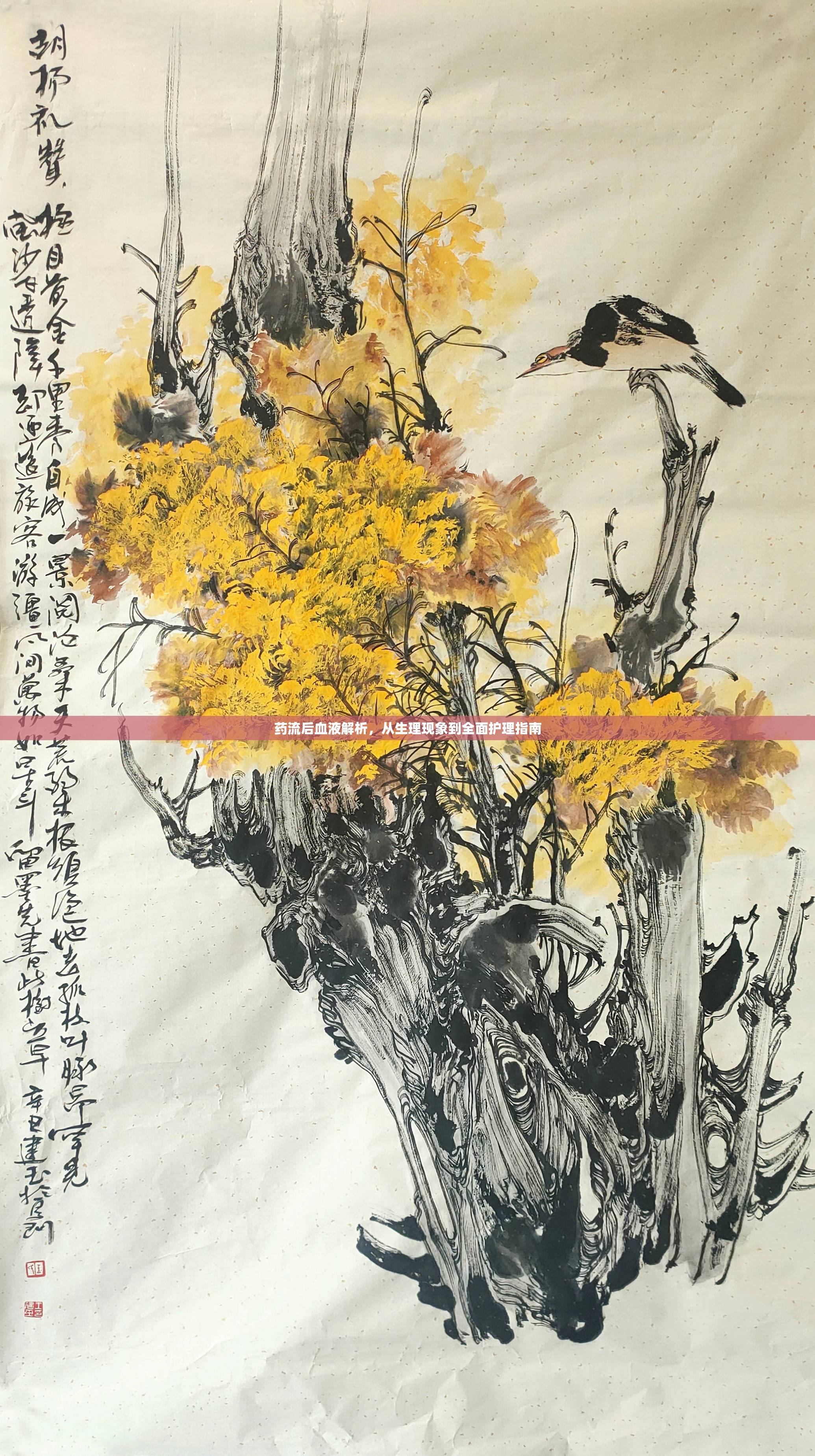 藥流后血液解析，從生理現(xiàn)象到全面護(hù)理指南