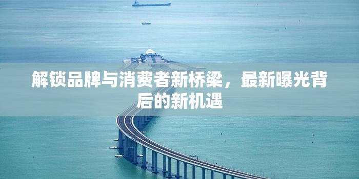 解鎖品牌與消費(fèi)者新橋梁，最新曝光背后的新機(jī)遇