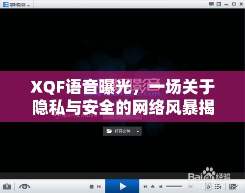 XQF語音曝光，一場關(guān)于隱私與安全的網(wǎng)絡(luò)風(fēng)暴揭秘