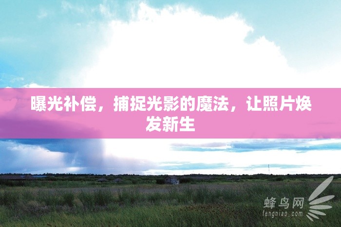 曝光補(bǔ)償，捕捉光影的魔法，讓照片煥發(fā)新生
