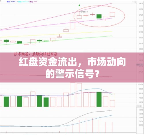 紅盤資金流出，市場動向的警示信號？