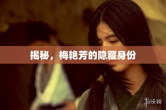 揭秘，梅艷芳的隱藏身份