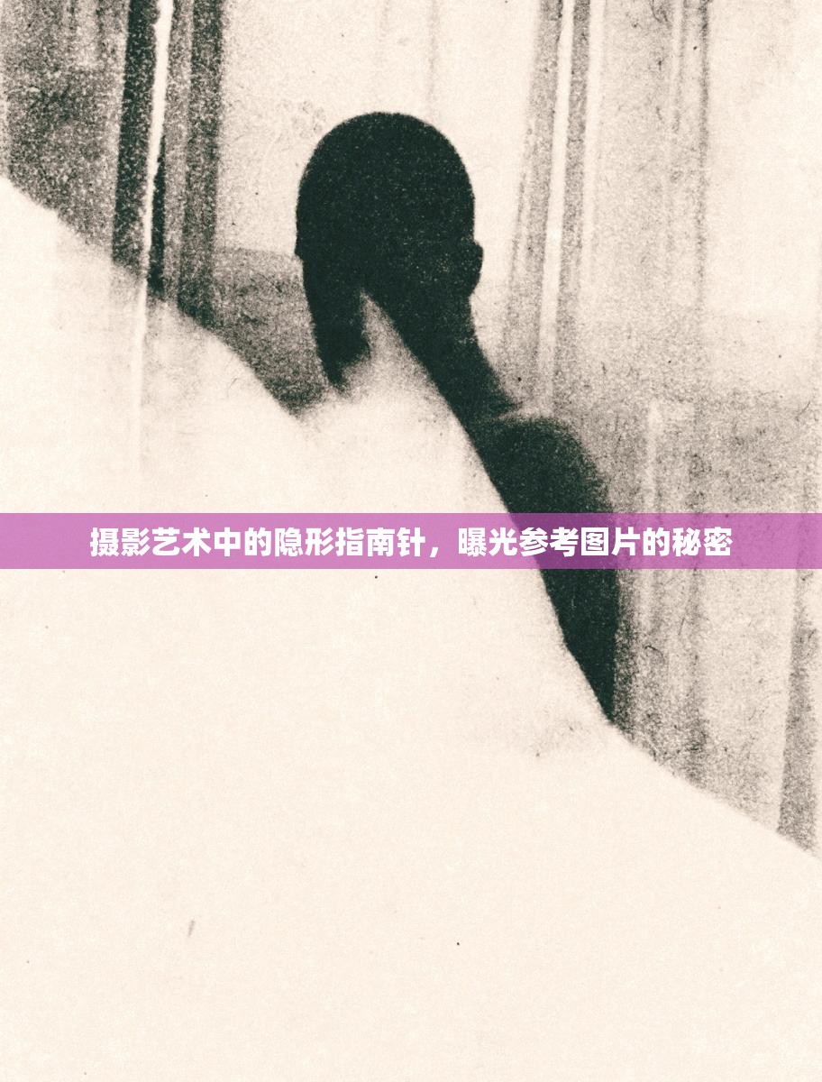 攝影藝術(shù)中的隱形指南針，曝光參考圖片的秘密
