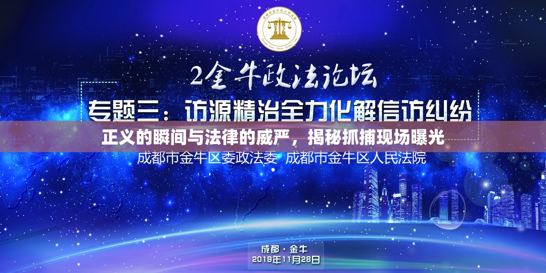 正義的瞬間與法律的威嚴，揭秘抓捕現(xiàn)場曝光