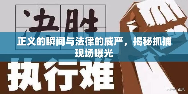 正義的瞬間與法律的威嚴，揭秘抓捕現(xiàn)場曝光