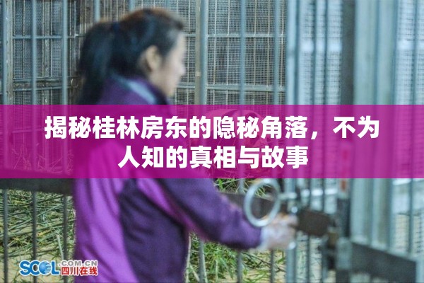 揭秘桂林房東的隱秘角落，不為人知的真相與故事
