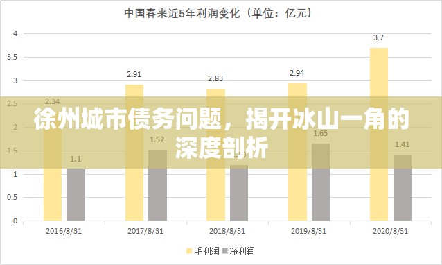 徐州城市債務(wù)問題，揭開冰山一角的深度剖析
