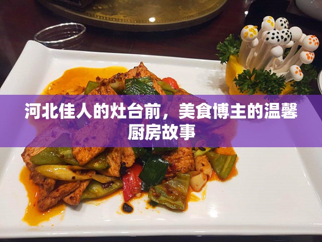河北佳人的灶臺前，美食博主的溫馨廚房故事