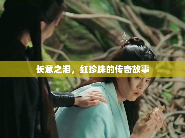 長(zhǎng)意之淚，紅珍珠的傳奇故事