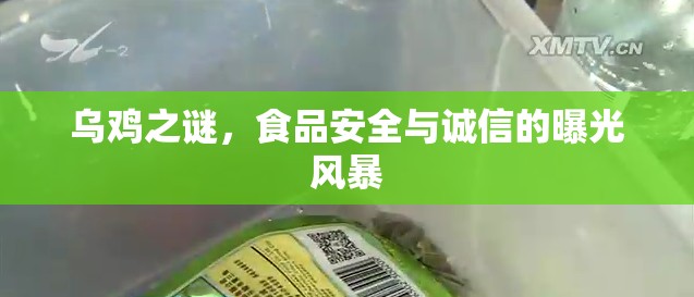 烏雞之謎，食品安全與誠信的曝光風(fēng)暴