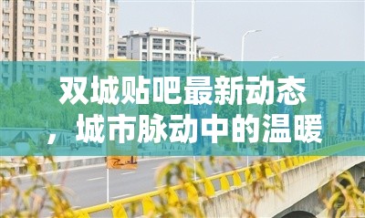 雙城貼吧最新動(dòng)態(tài)，城市脈動(dòng)中的溫暖與活力