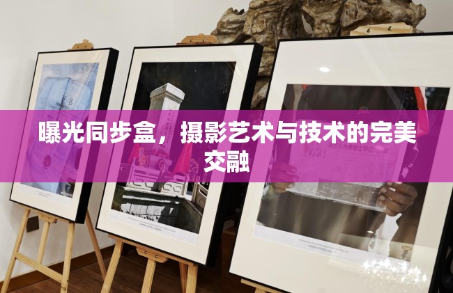 曝光同步盒，攝影藝術(shù)與技術(shù)的完美交融