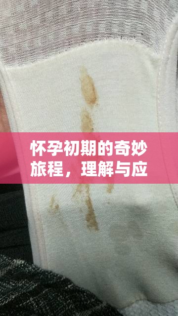 懷孕初期的奇妙旅程，理解與應(yīng)對流出分泌物的小秘密