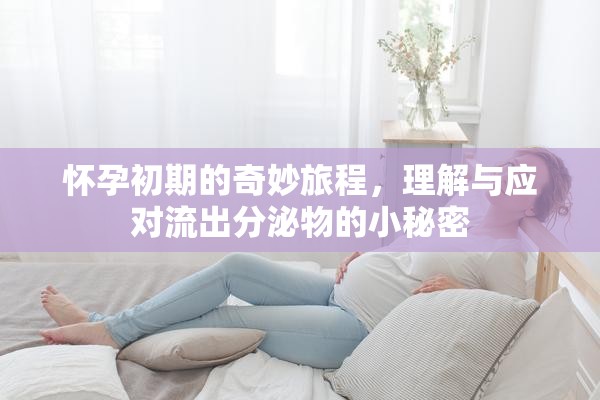 懷孕初期的奇妙旅程，理解與應(yīng)對流出分泌物的小秘密