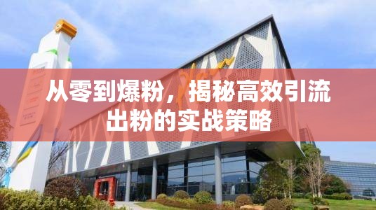 從零到爆粉，揭秘高效引流出粉的實戰(zhàn)策略