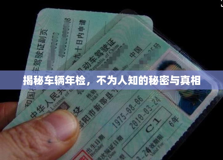 揭秘車輛年檢，不為人知的秘密與真相