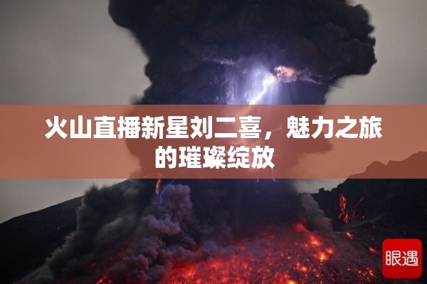 火山直播新星劉二喜，魅力之旅的璀璨綻放