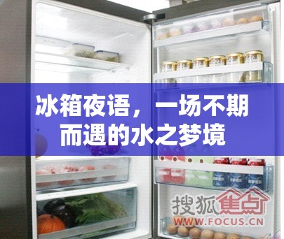 冰箱夜語(yǔ)，一場(chǎng)不期而遇的水之夢(mèng)境
