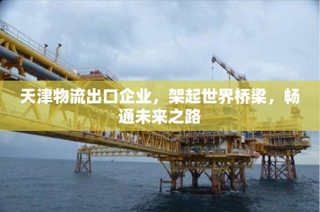 天津物流出口企業(yè)，架起世界橋梁，暢通未來之路