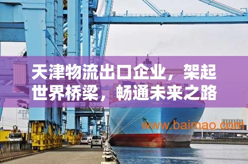 天津物流出口企業(yè)，架起世界橋梁，暢通未來之路