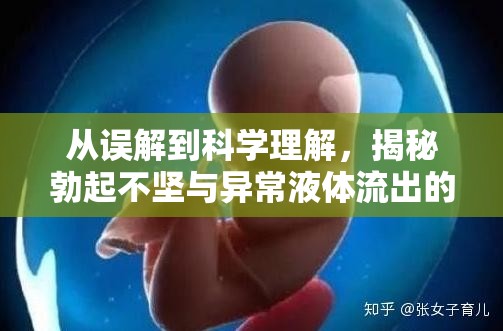 從誤解到科學(xué)理解，揭秘勃起不堅與異常液體流出的真相