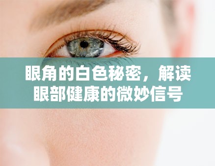 眼角的白色秘密，解讀眼部健康的微妙信號(hào)