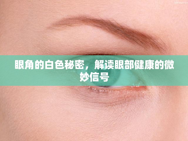 眼角的白色秘密，解讀眼部健康的微妙信號(hào)