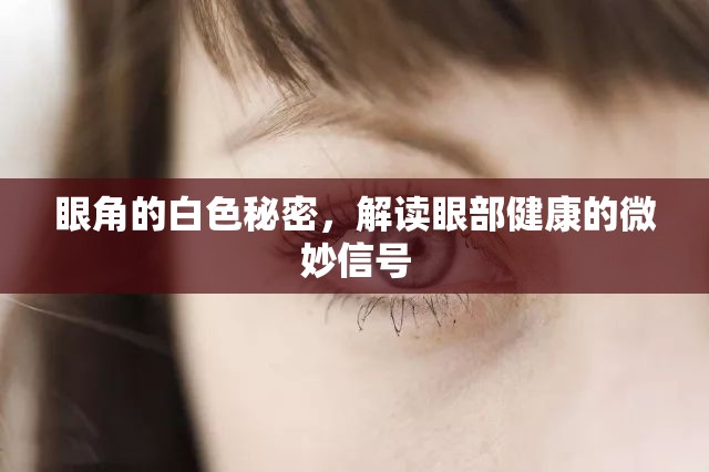 眼角的白色秘密，解讀眼部健康的微妙信號(hào)