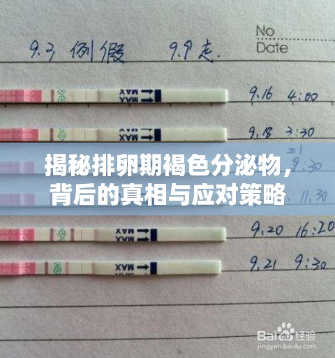 揭秘排卵期褐色分泌物，背后的真相與應(yīng)對(duì)策略