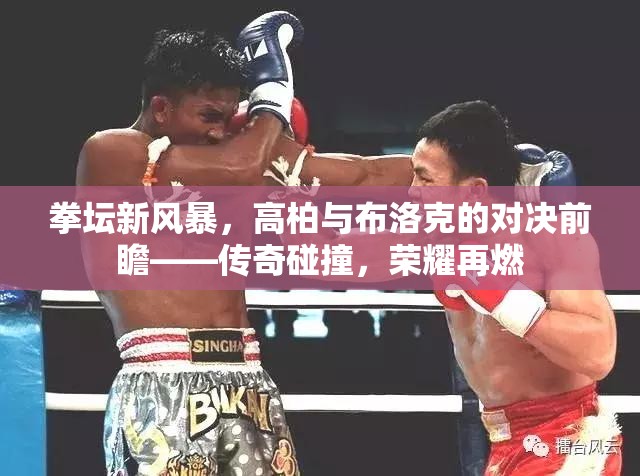 拳壇新風(fēng)暴，高柏與布洛克的對(duì)決前瞻——傳奇碰撞，榮耀再燃