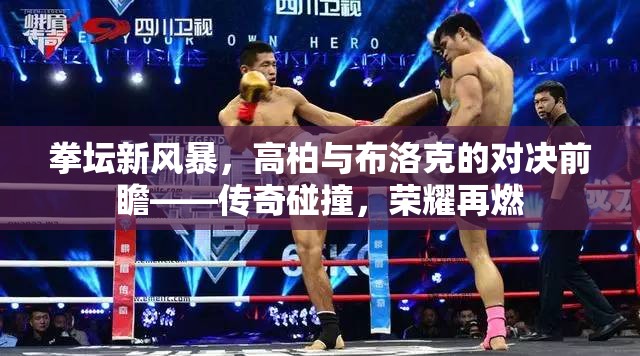 拳壇新風(fēng)暴，高柏與布洛克的對(duì)決前瞻——傳奇碰撞，榮耀再燃