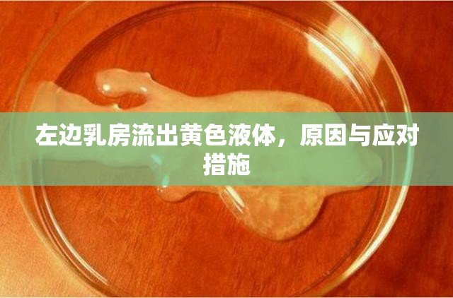 左邊乳房流出黃色液體，原因與應(yīng)對(duì)措施