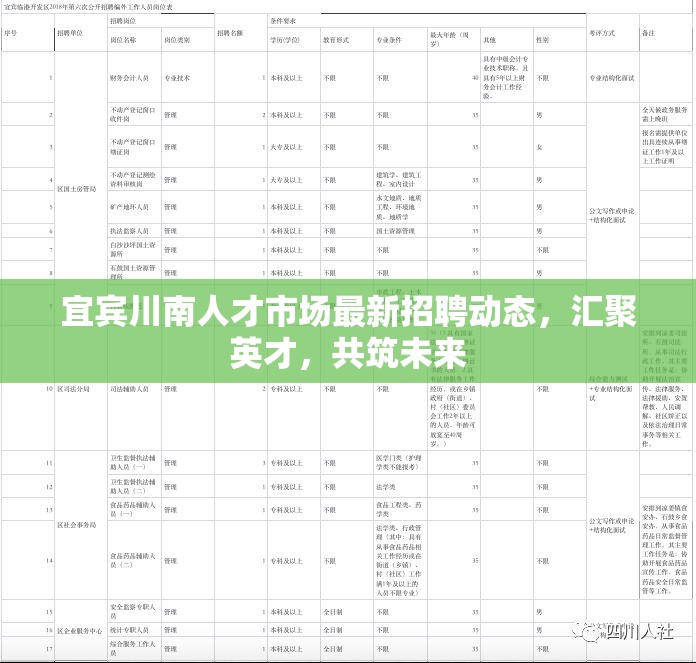 宜賓川南人才市場最新招聘動態(tài)，匯聚英才，共筑未來