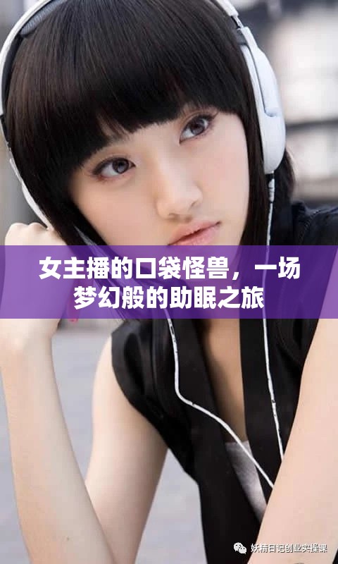 女主播的口袋怪獸，一場(chǎng)夢(mèng)幻般的助眠之旅