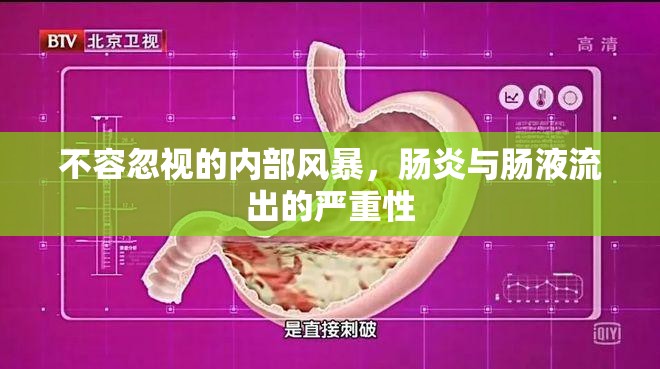 不容忽視的內(nèi)部風(fēng)暴，腸炎與腸液流出的嚴(yán)重性