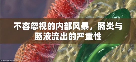 不容忽視的內(nèi)部風(fēng)暴，腸炎與腸液流出的嚴(yán)重性