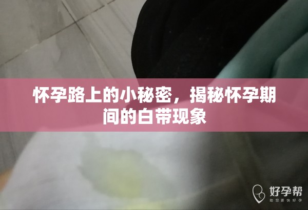 懷孕路上的小秘密，揭秘懷孕期間的白帶現(xiàn)象