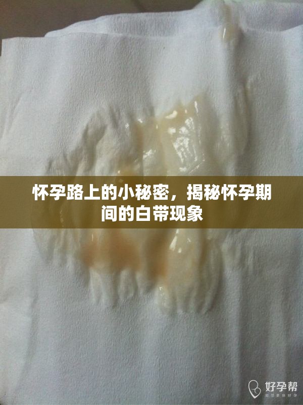 懷孕路上的小秘密，揭秘懷孕期間的白帶現(xiàn)象