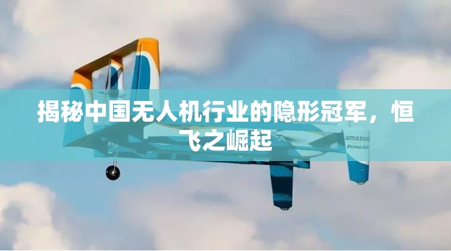揭秘中國(guó)無(wú)人機(jī)行業(yè)的隱形冠軍，恒飛之崛起
