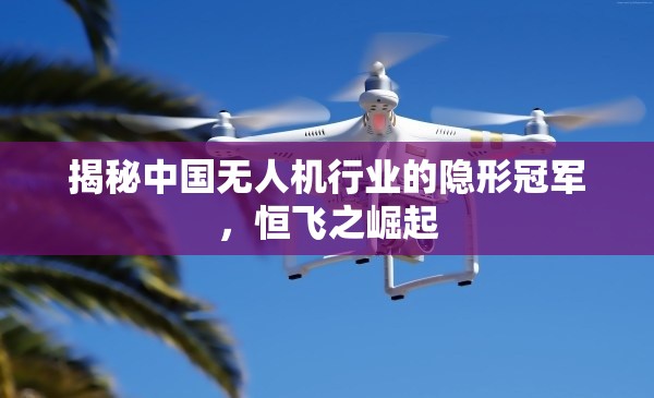 揭秘中國(guó)無(wú)人機(jī)行業(yè)的隱形冠軍，恒飛之崛起