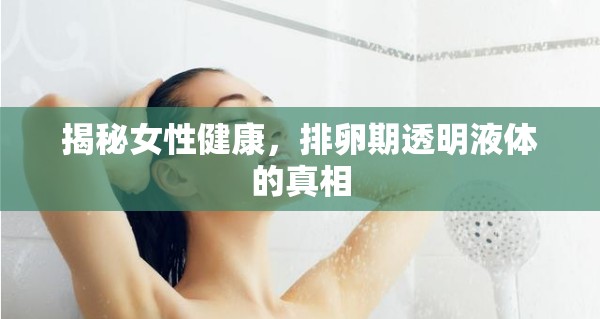 揭秘女性健康，排卵期透明液體的真相